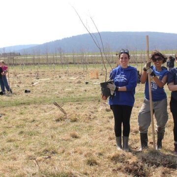 Three young women hold shovels and a potted tree sapling, standing in a field of newly planted tree saplings.
