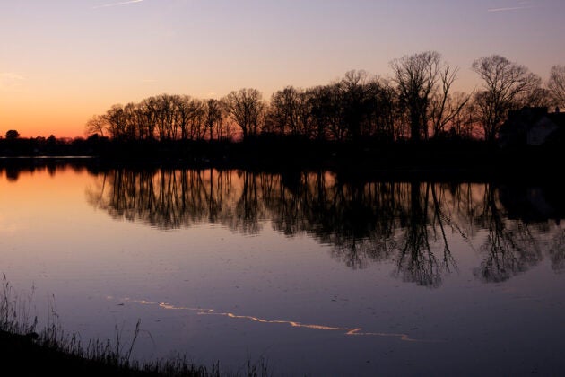 Trees line a calm creek at sunset.