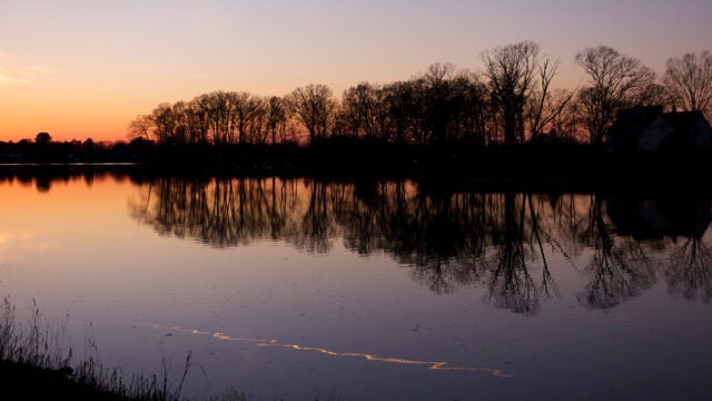 Trees line a calm creek at sunset.