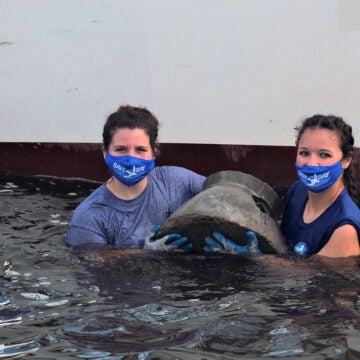 Two girls wearing Save the Bay COVID masks hold a concrete oyster reef ball in the water.