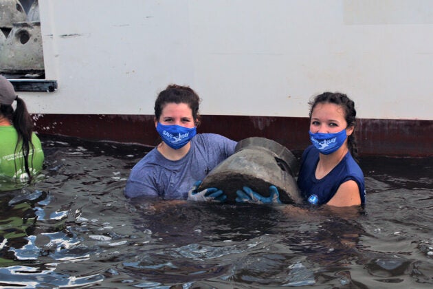 Two girls wearing Save the Bay COVID masks hold a concrete oyster reef ball in the water.