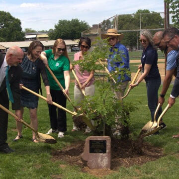 Eight men and women use shovels to ceremonially place dirt on a newly planted tree.