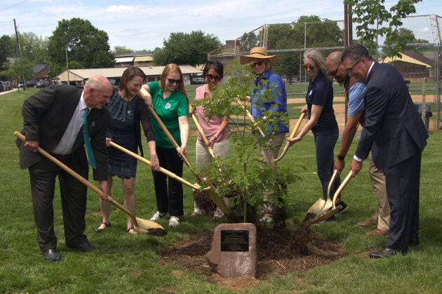 Eight men and women use shovels to ceremonially place dirt on a newly planted tree.