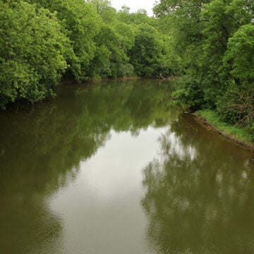 A river runs through the woods.