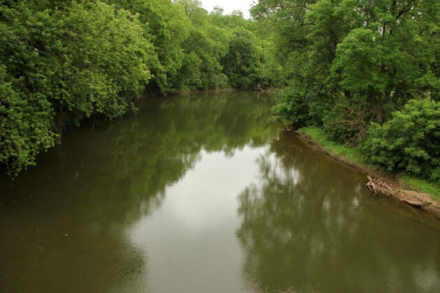 A river runs through the woods.