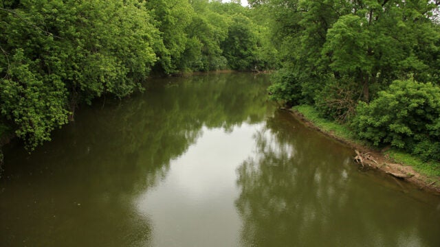 A river runs through the woods.