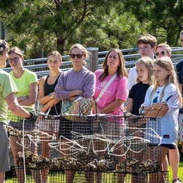 A group of adults and children stand outdoors, attentively listening to a woman speaking in front of stacked wire cages filled with oysters.