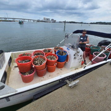 A woman stands at the helm of a workboat full of baskets of oyster shell.