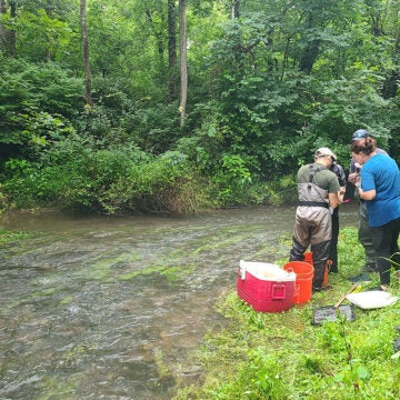 Four people in waders stand on a grassy bank beside a shallow, tree-lined stream amid orange buckets.