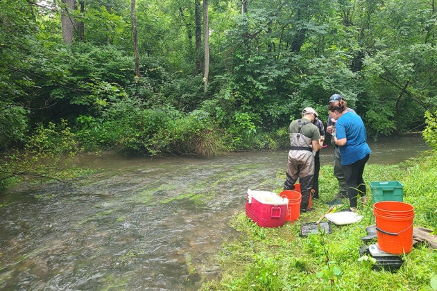 Four people in waders stand on a grassy bank beside a shallow, tree-lined stream amid orange buckets.