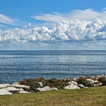 A beautiful shot of a calm bay from the shoreline, with white puffy clouds overhead.