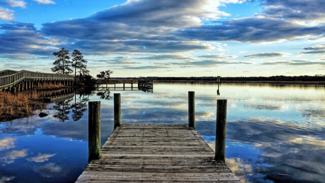 View from the end of a dock, looking out at the Bay and another dock.