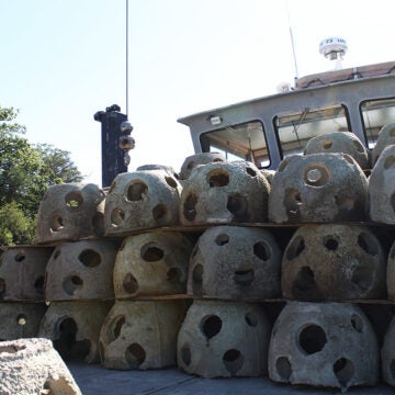 Dozens of concrete reef balls are stacked three high on the deck of the Patricia Campbell.
