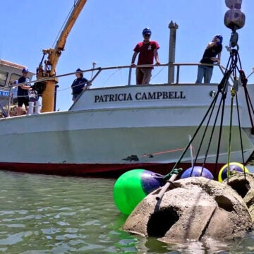 The workboat Patricia Campbell and crew use a crane to lower concrete reef balls attached to colorful buoys into a calm bay.