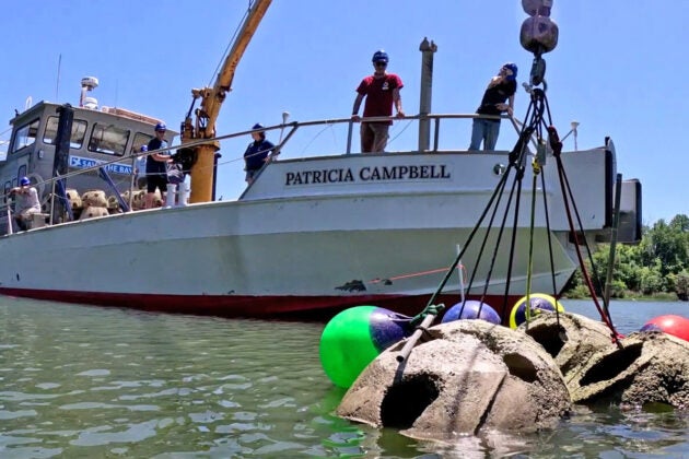 The workboat Patricia Campbell and crew use a crane to lower concrete reef balls attached to colorful buoys into a calm bay.