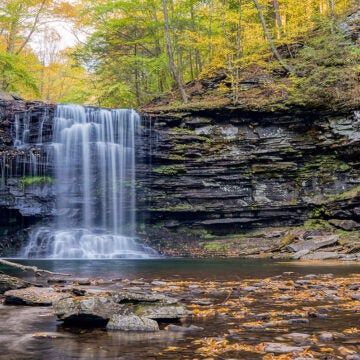 Water cascades down a rocky waterfall surrounded by trees in fall colors.