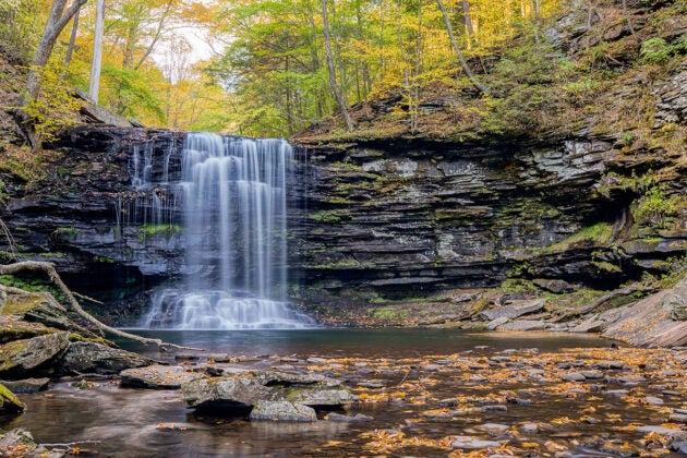 Water cascades down a rocky waterfall surrounded by trees in fall colors.