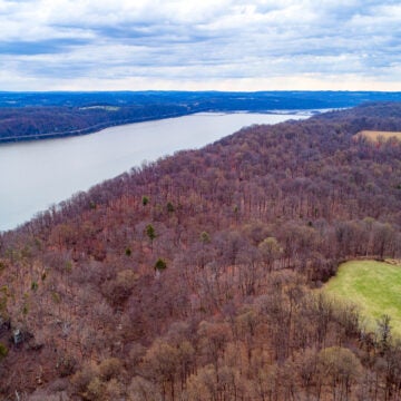 Overhead view of a thick forest along a river.