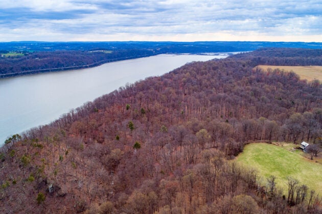 Overhead view of a thick forest along a river.
