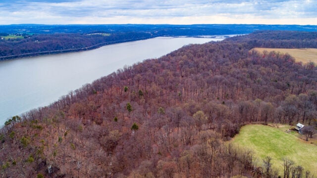 Overhead view of a thick forest along a river.