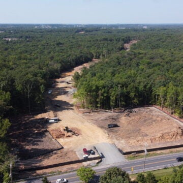 Bulldozed land scars a green forest.