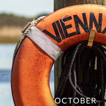 An orange life ring with the word Vienna hangs on a post.