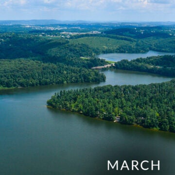 Meandering river.