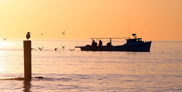 A fisherman works the Bay during the orange of dawn.