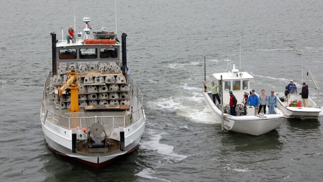 Three oyster restoration boats prepare to deploy reef balls.
