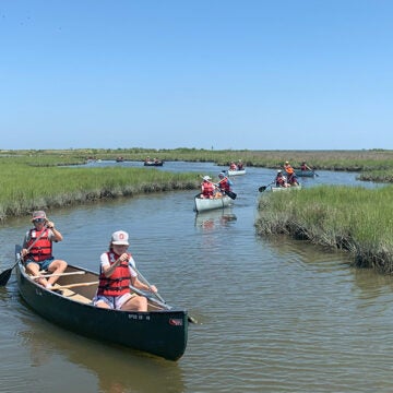 A half dozen two-person canoes float through a marsh.