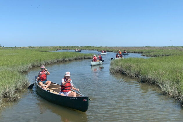 A half dozen two-person canoes float through a marsh.
