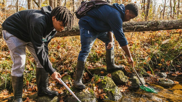 Two students stand along a rivers edge holding small nets to catch macroinvertebrates from the stream.