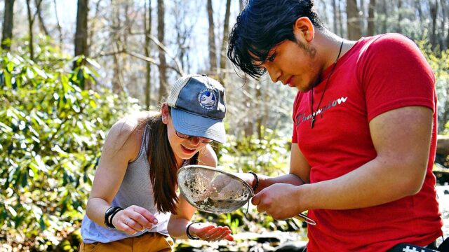 One student holds a sieve while a second student looks into it trying to identify stream macroinvertebrates.