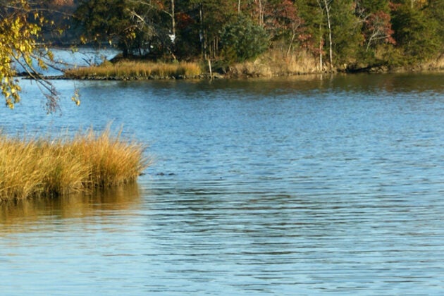 Scenic image of a river flowing through a marsh.