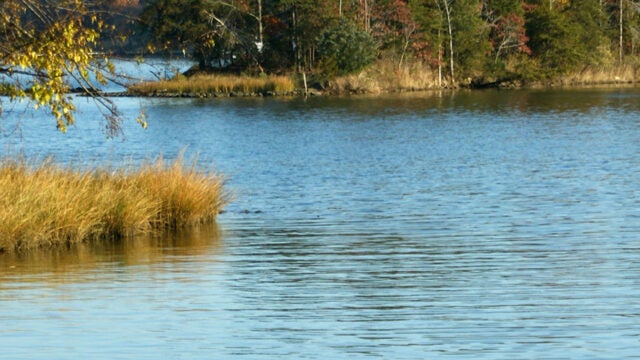 Scenic image of a river flowing through a marsh.