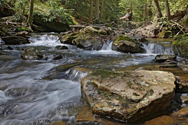 A small waterfall surrounded by rocks in a forested stream.