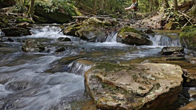 A small waterfall surrounded by rocks in a forested stream.