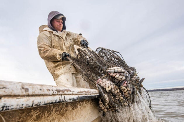 A person hauls a net full of fish over the edge of a boat