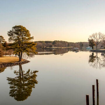 A serene view overlooking water and trees.