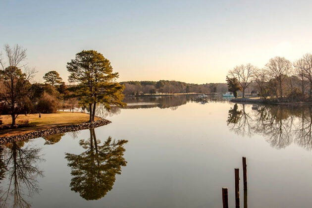 A serene view overlooking water and trees.