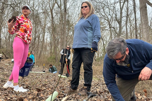 Volunteers plant trees as others work among bare trees in the background.