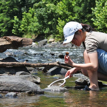 A student examines something they picked up out of a stream they are kneeling in.