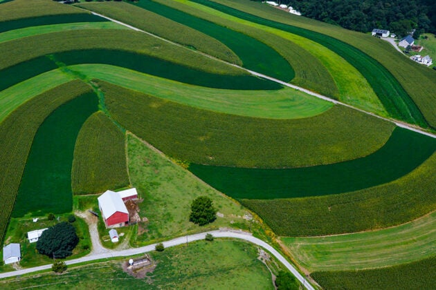 Aerial view of farmland with curved contour strips of crops, a red barn, and a farmhouse surrounded by green fields and roads.