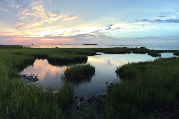 A beautiful marsh at day's end with the sun setting above.