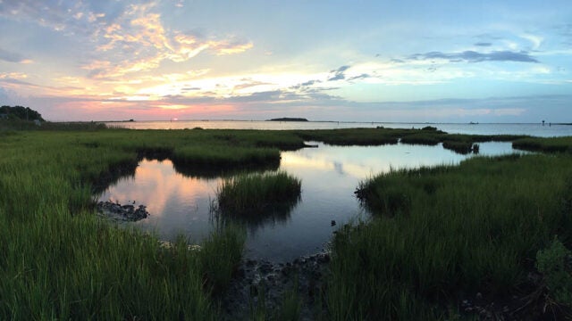 A beautiful marsh at day's end with the sun setting above.