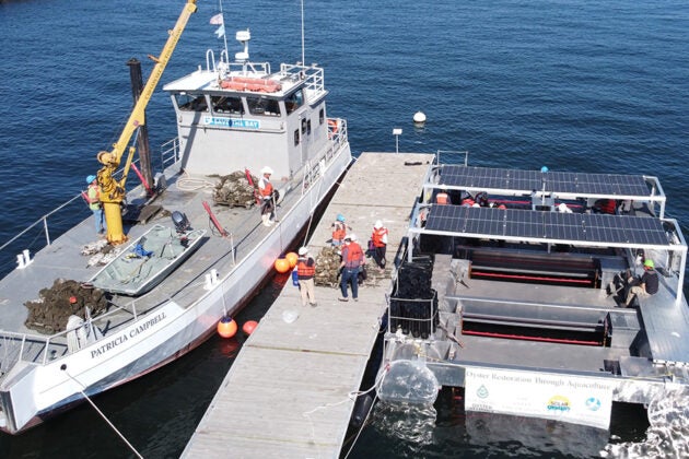 An oyster restoration vessel sits alongside a dock.