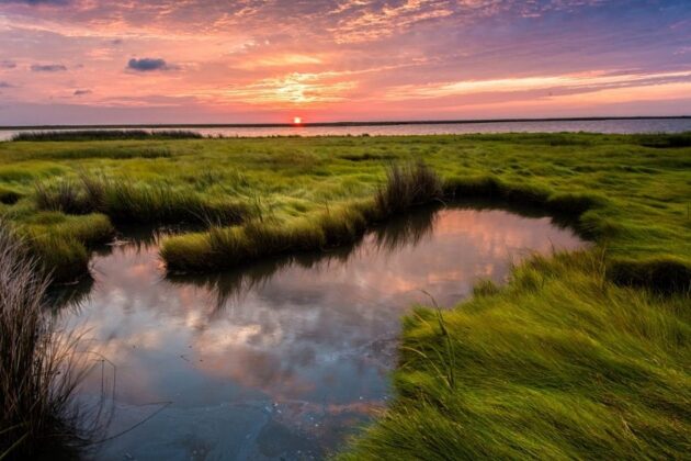 Sunset over Chesapeake Bay marshland with green grasses and a tidal pool reflecting the colorful sky.
