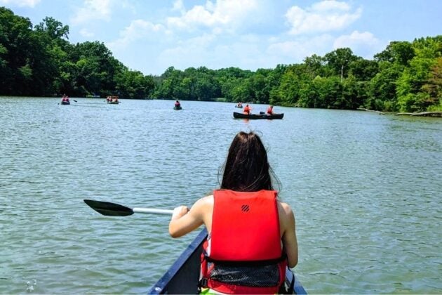 A paddler in a red life jacket canoes on a calm river with several other canoes ahead, surrounded by green trees.