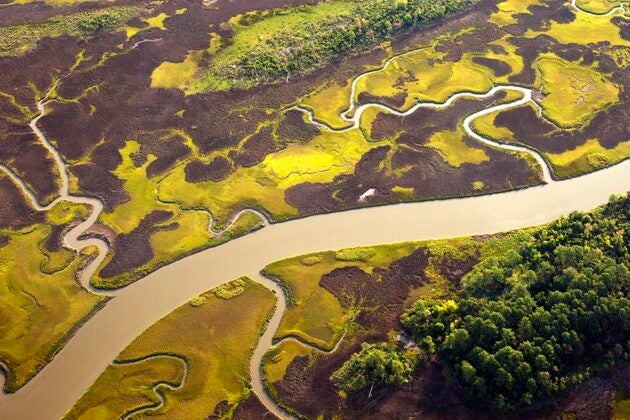 Pristine wetlands frame the mouth of the Nansemond River, a tributary of the James River near Suffolk, Virginia.