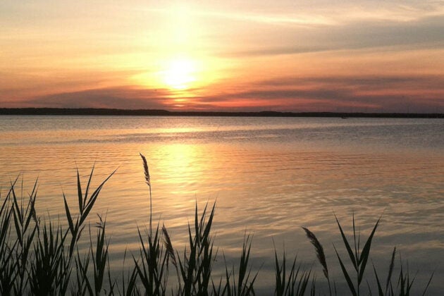 Golden sunset over calm waters with marsh grasses silhouetted in foreground.